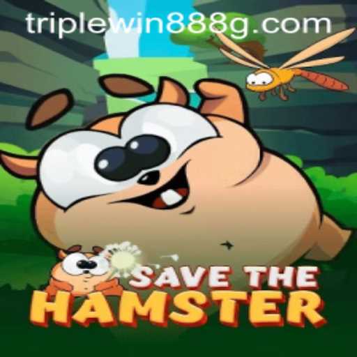 The Fascinating World of SavetheHamster and TripleWin888